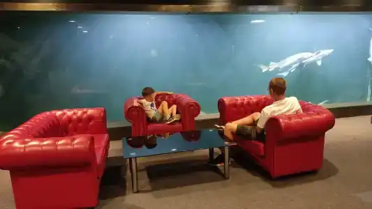 Caspian Riviera Grand Palace - 35