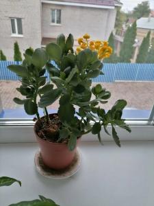 Domik V Samare Mini-Hotel - 74