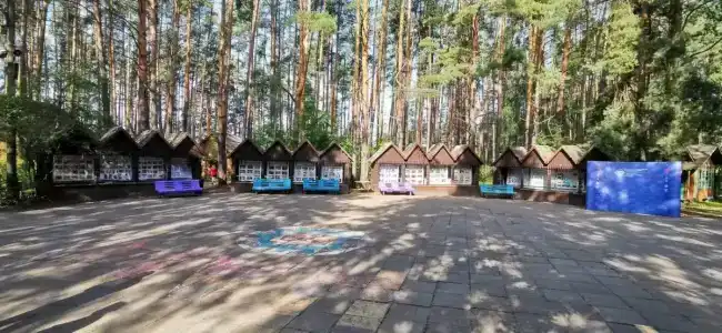 Sol Zhdanovets - 12