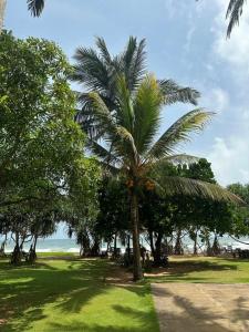 Temple Tree Resort & Spa - 19