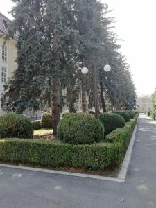 Sanatorium im. S.M. Kirova - 43