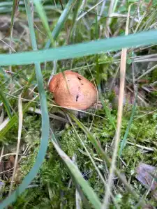 Knyazhyya Rechka Baza Otdykha - 83