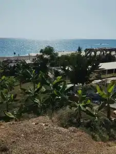 Elysium Elite&Spa - 59