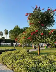 Voyage Belek Golf & Spa - 32