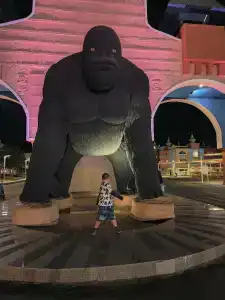 Pickalbatros Jungle Aqua Park - Neverland - 47