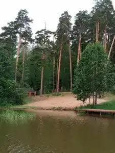 Gostevoj kompleks Tihij Les Recreation camp - 24