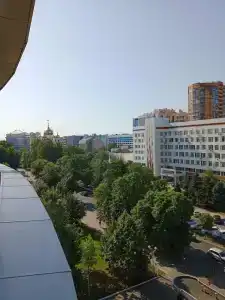Платан Южный - 7