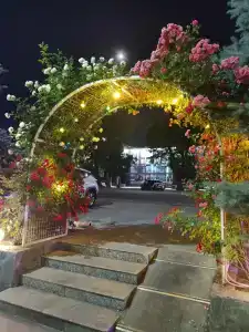 Garden - 3