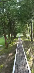 Berezovaya roshcha - 77