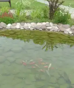 Shahtyor Tourist base - 38