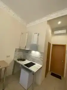 Большой 19 - 77