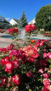 Kapriz Issyk KUL Resort - 11