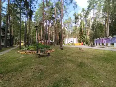Zarya - 29