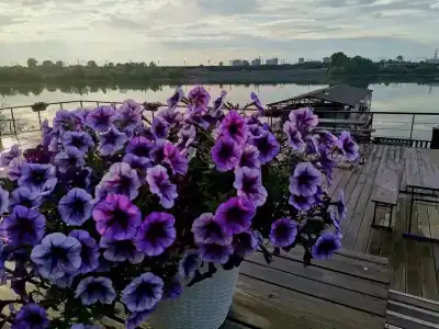 Piknikovyy ray - 3