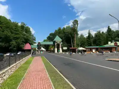 Belovezhskaya pushcha №2