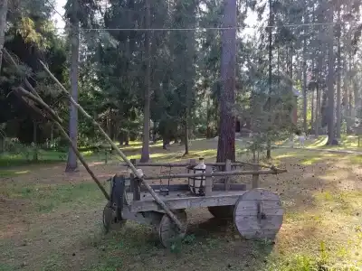 Plescheevo Recreation camp - 38