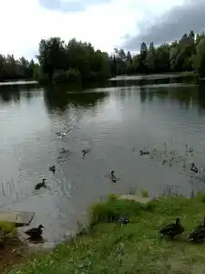 Санаторий Солнечногорский Минобороны России - 54