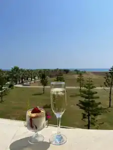 Asteria Bloom Side - 33