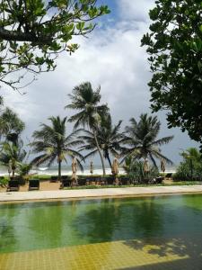 Temple Tree Resort & Spa - 11