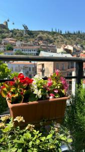 Sharden Villa Boutique - 1