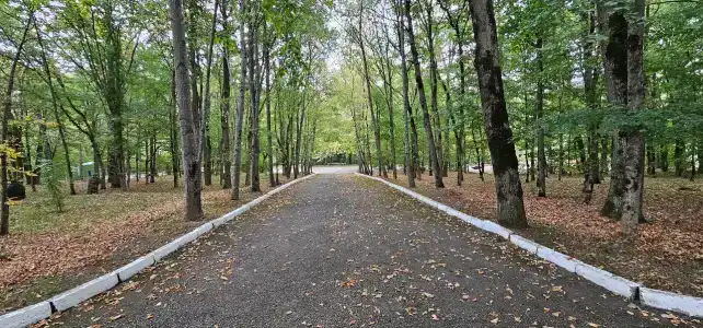 Lago-Naki Resort - 27