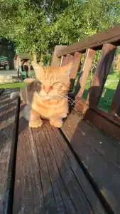 Агроусадьба Здоровей - 69