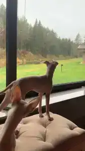 Glintwood Recreation Center - 14