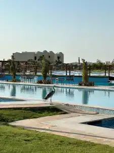 Xanadu Club Makadi Bay - 53