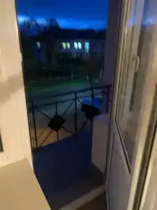 Belovezhskaya pushcha №2 - 33