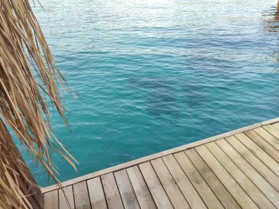 Yasmin Bodrum Resort - 26