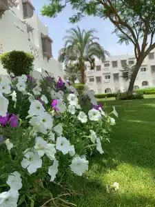 Mercure Hurghada - 37