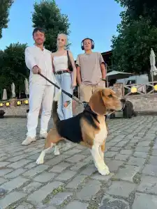 Temirinda & Spa - 24