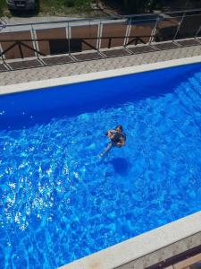 " Lesnaya skazka" Resort inn - 2