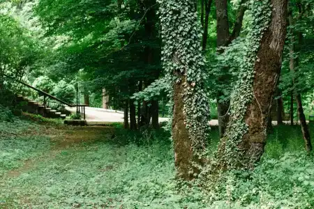 Lago-Naki Resort - 50