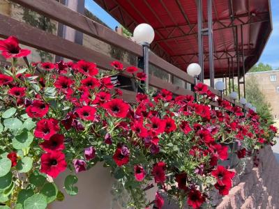 БАГРАТИОН - 94