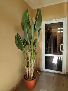 Gloria Business - 16