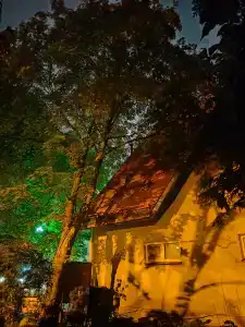 Матисов Домик у Новой Голландии - 70