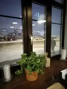 БАГРАТИОН - 30