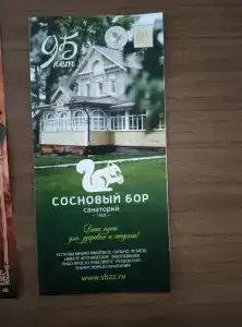 Sanatorium Sosnovyy bor - 70