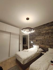 Ris Dalma Collection - 24