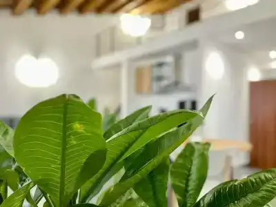 Palermo Inn Boutique - 7