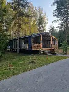 Lunny Krolik - 38