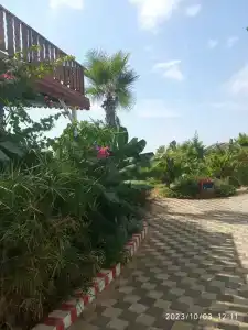 Elysium Elite&Spa - 22