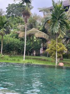 Arya Arkananta Resort and Spa  - 1