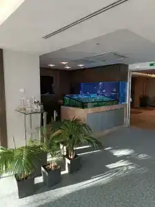 Novosibirsk Marriott - 33