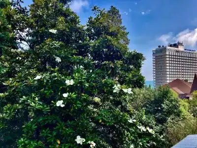 Golden Holiday Apartments - 33