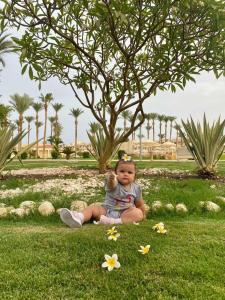 Beach Albatros Resort - 77