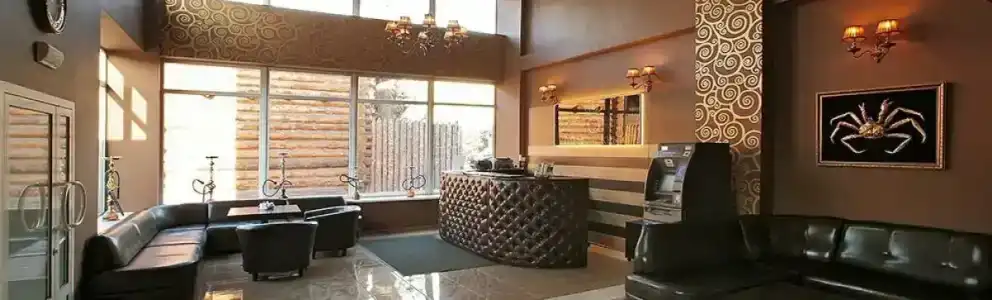 Tayozhnyij mini-hotel - 17