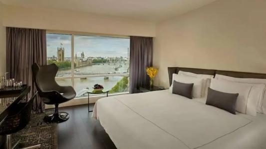 Park Plaza London Riverbank - 11