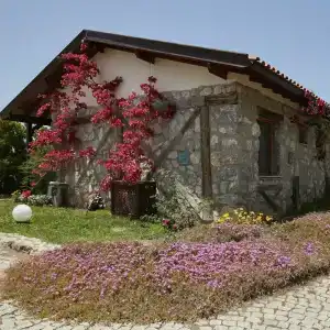 Flow Datca Surf & Beach - 8